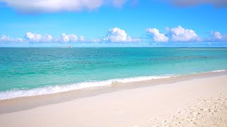 Maldives Beach 4K 🏝 Turquoise Water White Sand and Ocean Sounds [upl. by Tjon]