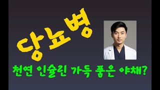 당뇨병의 천적 천연 인슐린 우리집 냉장고에 가득한 야채는 [upl. by Malek740]