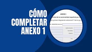 Cómo completar Anexo 1 [upl. by Aitercal]