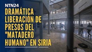 La dramática liberación de cientos de presos en la cárcel más temida de Siria [upl. by Keegan]