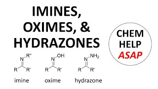 imines hydroxylamines amp hydrazones [upl. by Egdamlat]