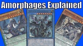 Amorphage Deck Explained  In depth Analysis [upl. by Careaga729]