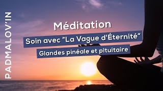 MéditationSoin avec “La Vague dÉternité“ Glandes pinéale et pituitaire ensembles [upl. by Ikcir287]