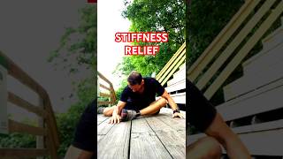 Stiff Aching Body  Whole Body Mobility tightness mobility stretching [upl. by Aizat207]