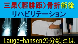 脛骨、腓骨、距骨骨折を含む三果骨折の術後のリハビリテーションについて解説！ [upl. by Leoj129]