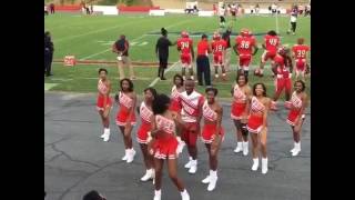 Winston Salem State University Cheerleaders [upl. by Aaron505]