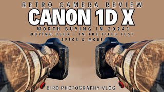 Canon 1D X  Retro Camera Review in the Field  Worth Buying in 2024 for Wildlife Photography [upl. by Bette-Ann]