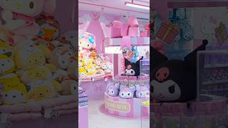 Miniso Sanrio theme Sydney store🩷Everything sanrio miniso kuromi cinnamoroll kawaii [upl. by Abehshtab512]