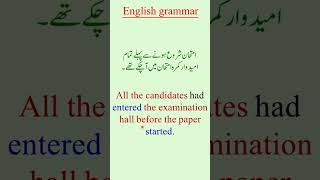 Past Perfect English Conversation  English Short listenlearn [upl. by Eiromem]