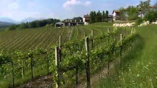 Der italienische Schaumwein Prosecco  Welterfolge aus der Provinz 04  Euromaxx serie  Euromaxx [upl. by Esch970]