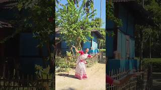 Bihu   বিহু dance charaideo [upl. by Bibeau973]