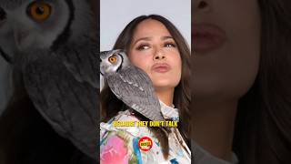 Salma Hayek Relationship With Animals ♥️😍 shorts [upl. by Tennaj]