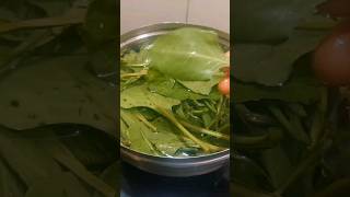 My sick mom NGT feeding recipe  Palak amp toor daal soup  My daily routine  food [upl. by Airetas]