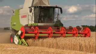 Claas Lexion 660 Mähdrescher mit V 660 Schneidwerk bei der Ernte [upl. by Aydidey511]