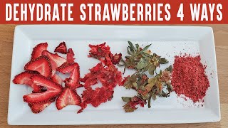 What to do with Too Many Strawberries  Dehydrate Strawberries in 4 ways [upl. by Naiditch236]