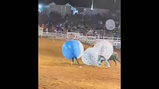 This is RODEO KNOCKERBALL [upl. by Marcello]