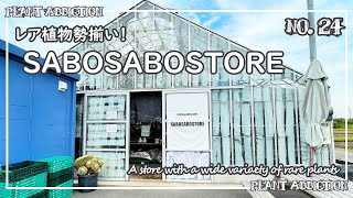 レア植物勢揃い！SABOSABOSTORE  A store with a wide variety of Rare Plants 24 [upl. by Reteid237]