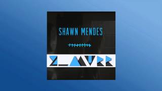 Shawn Mendes  Stitches ZMurr Remix [upl. by Nimajeb]