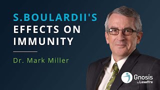 Sboulardiis Effects on Immunity  Mark Miller [upl. by Assilak]