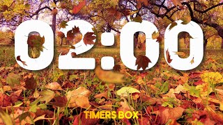 Autumn 2 Minute Fall Timer with Calming Music 🍂 and Alarm at End [upl. by Jansson]