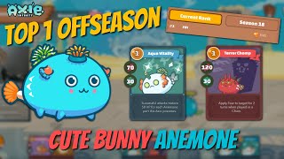 TOP 1 RANK FIFI DOUBLE ANEMONE CUTE BUNNY NEW META  3505 MMR  AXIE INFINITY [upl. by Zosema]