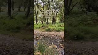 📌 Glendalough Forest Park Upper Lake Wicklow Ireland 🇮🇪🥾👣🛤️ [upl. by Carlynn273]