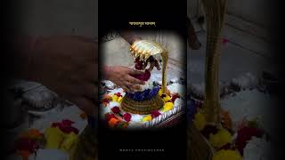 Mahadev Pooja  🕉 Omnamahshivaya 🕉 Shivshambho moryapratishthan shorts [upl. by Arym]