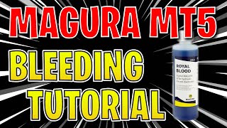 DIY Magura MT5 MT brake bleeding procedure 🛠️ Tutorial for beginners like me [upl. by Llenrrad378]