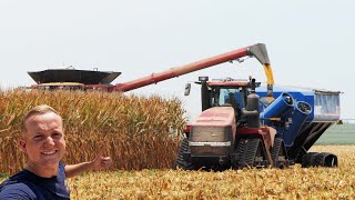 Høsten 2024 i USA  Majshøsten med Claas Lexion 8600 John Deere X9 1100 amp Case IH AxialFlow 9250 [upl. by Rorrys]