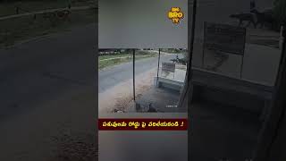 పశువులను రోడ్డు పై వదిలేయకండి   trendingshorts youtubeshorts shortsviral shorts virel [upl. by Anawd]