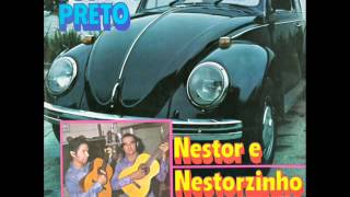 Nestor amp Nestorzinho  Paineira Velha [upl. by Zoellick642]