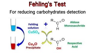 Fehlings Test for the identification of carbohydrates Knowledge Academy [upl. by Liris]