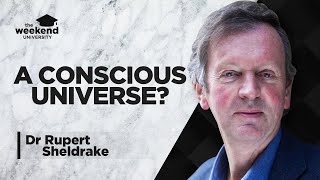 A Conscious Universe – Dr Rupert Sheldrake [upl. by Tobias136]