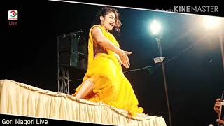 Gori nagori  Chundadi jaipur ki  Gori nagori dance  sapna choudhary dance songs2021 [upl. by Mecke409]