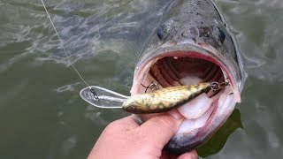 Fall Bass Fishing A Low Pressure System  Crescent Lake Rhinelander WI  Fishing  715 Outdoors [upl. by Rora]