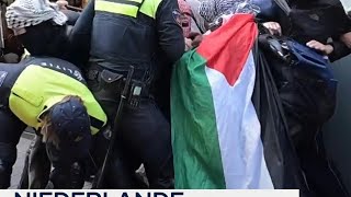 Niederlande Polizeigewalt bei GazaDemo [upl. by Atarman9]