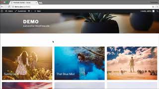 Best free wordpress portfolio plugin how to setup [upl. by Nesnaj259]