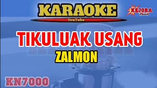 TIKULUAK USANG Karaokelirik Zalmon versi KN7000 [upl. by Lleznod]