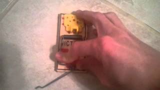 How to set a mouse trap safely original best way tutorial victor [upl. by Cate256]