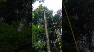 Lineman working in rain viralreelsfb safety electricity electricalwork [upl. by Eimmak]