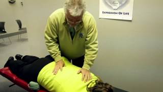 The Chiropractic Adjustment with Dr Fred Schofield [upl. by Cleavland]