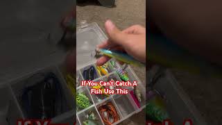 Catfish carp bass lure fishing baitfishing blue gill glidebaitfishtok basspro jerk bait bell grub [upl. by Dionisio]