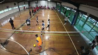 2024 R5 VDL2 Anglesea Angels vs Footscray Dodgesaurus Pink [upl. by Anemaj]