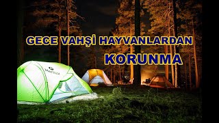 GECE VAHŞİ HAYVANLARDAN NASIL KORUNUYORUM [upl. by Gothart496]