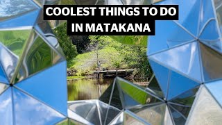 Best things to do in Matakana this summer [upl. by Orferd]