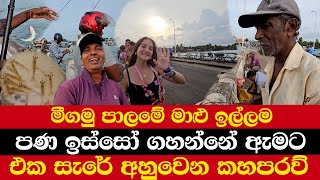 මීගමු පාලමේ මාළු ඉල්ලම  පණ ඉස්සෝ ගහන්නේ ඇමට  එක සැරේ අහුවෙන කහපරව් [upl. by Christensen593]