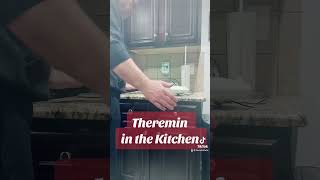 Theremin in the kitchen [upl. by Needan106]