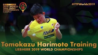 Tomokazu Harimoto Training  Liebherr 2019 World Table Tennis Championships [upl. by Shamma]