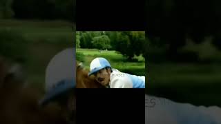 Kincsem 💪 dreamyhorses horse equestrian edit dreamhorse dreamhorses horseriding [upl. by Finlay862]