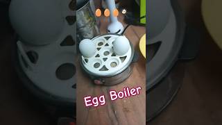 Thats an Egg Boiler 🥚🍳myexperimentswithlife food himachalpradesh youtube ytshorts cooking [upl. by Elletsirk]